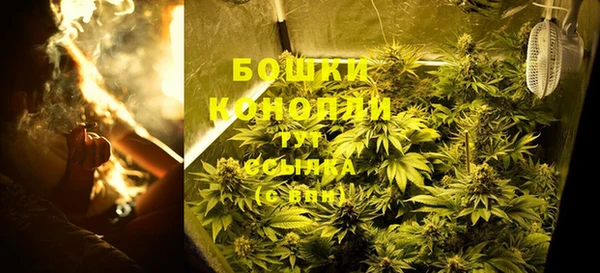 трава Козельск