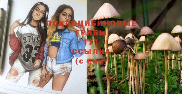 ешки Абдулино